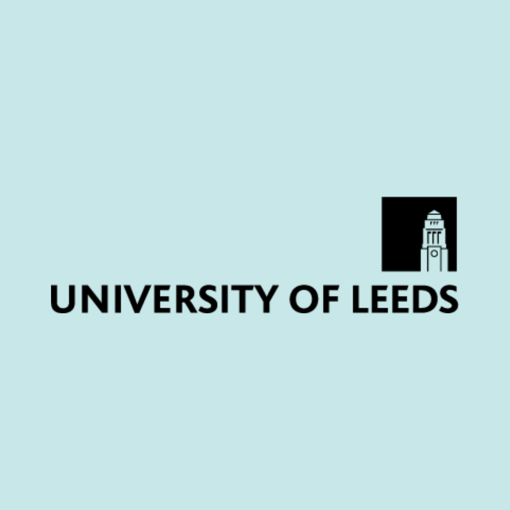 University of Leeds logo in black on an icy blue background